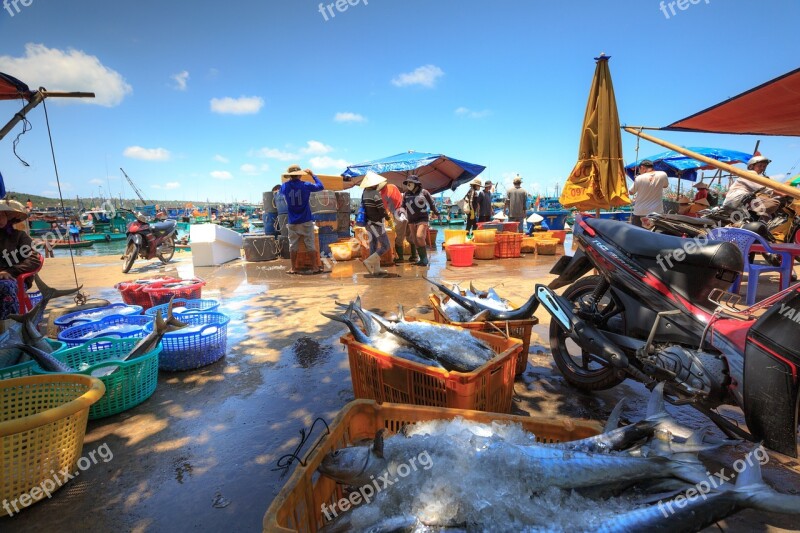 Phu Quoc Island The Fishermen Fishing Boat Fishnet Harbor