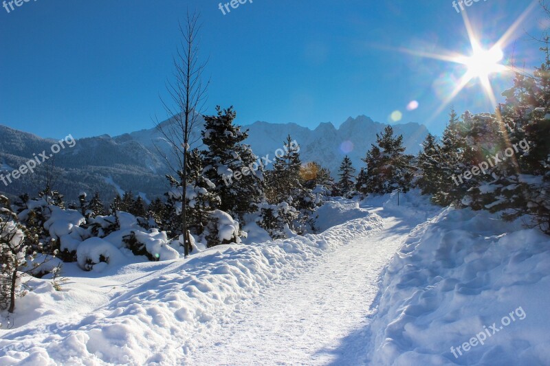 Alpine Alpspitze Trees Bavaria Mountains