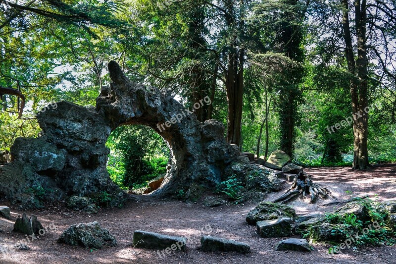 Outside Trees Mystery Nature Outdoor