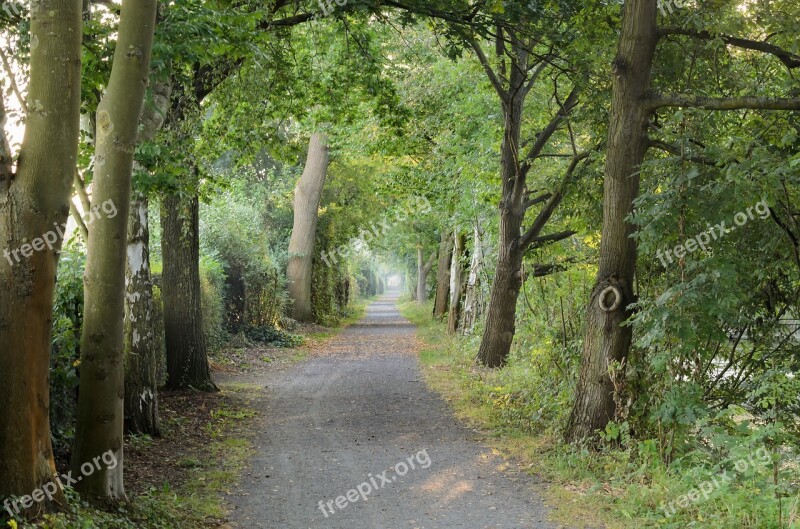 Nature Environment Pure Relaxation Landscape Green