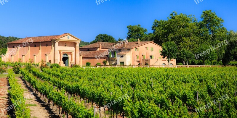 Bertaud Belieu Wine Vineyard St Tropez Free Photos