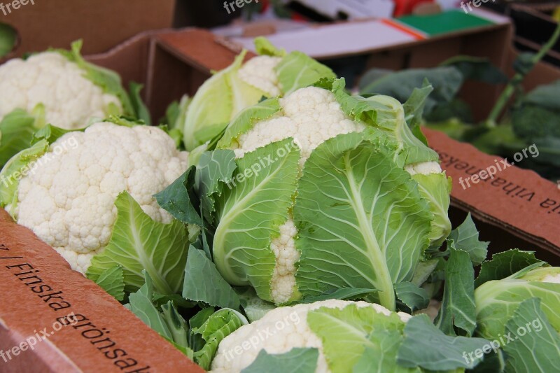 Cauliflower Porvoo Finland Europe Scandinavia