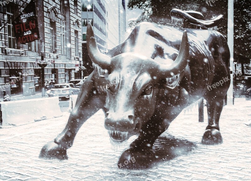 Usa New York Wall Street Bull Metal