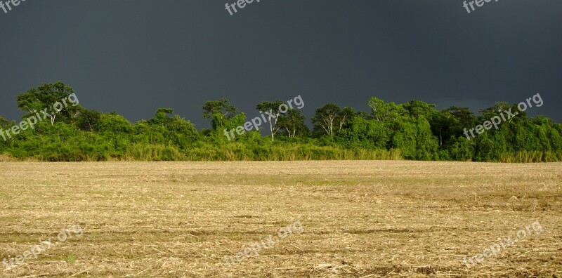 Field Crop Rural Rain Clouds Tree Line