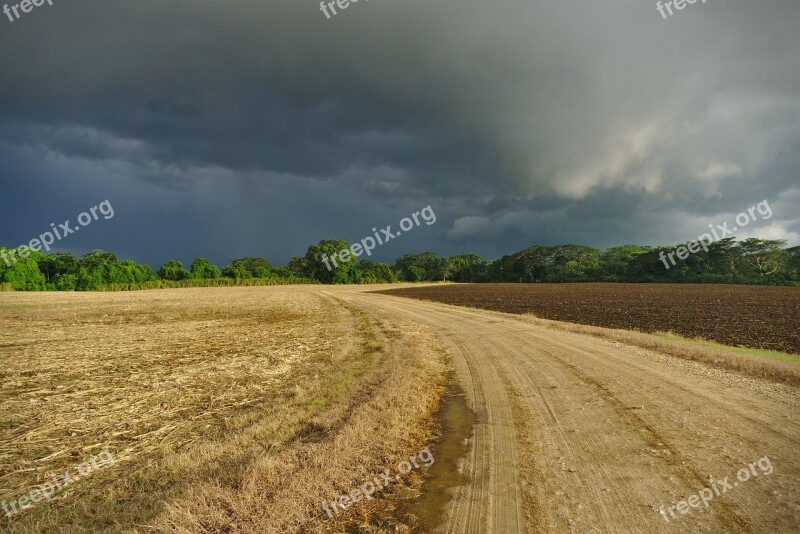 Field Road Rural Landscape Corn Field