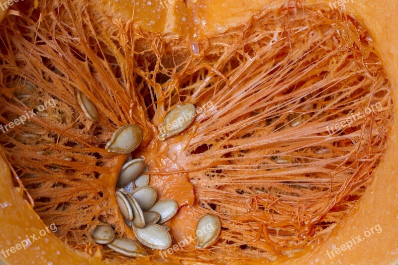 Pumpkin Pumpkin Seeds Orange Cucurbita Free Photos