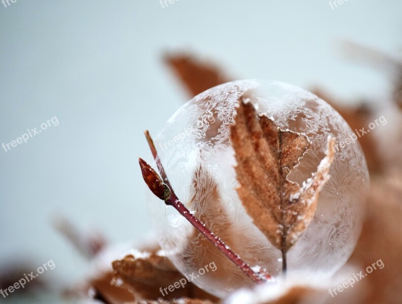 Bubble Soap Bubble Frozen Frozen Bubble Ball