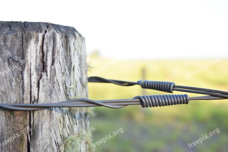 Reins Wood Field Free Photos