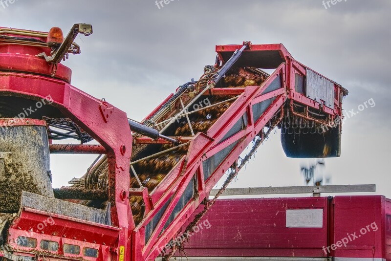 Sugar Beet Harvest Glean Pick Machine