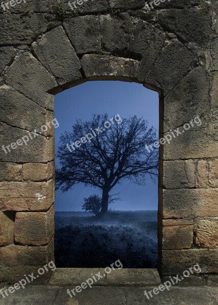 Arch Tree Fog Stone Wall Wall House