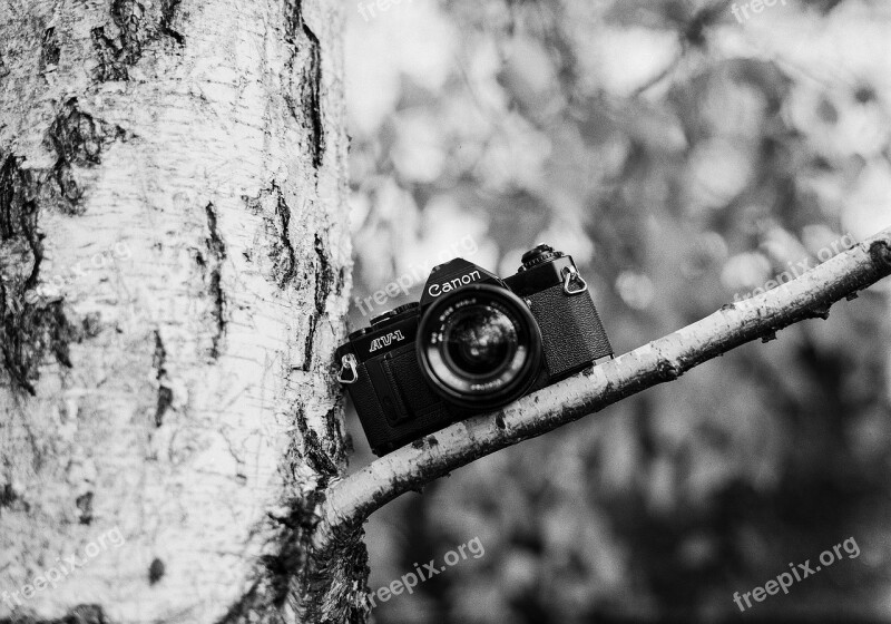 Film Camera Camera Vintage Film Photography