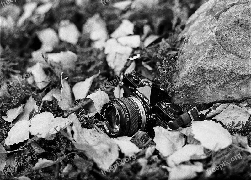 Film Camera Camera Vintage Film Photography