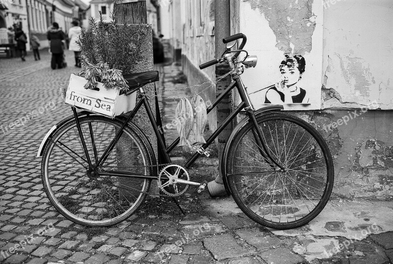 Bike Bicycle Two Wheel Old Bike