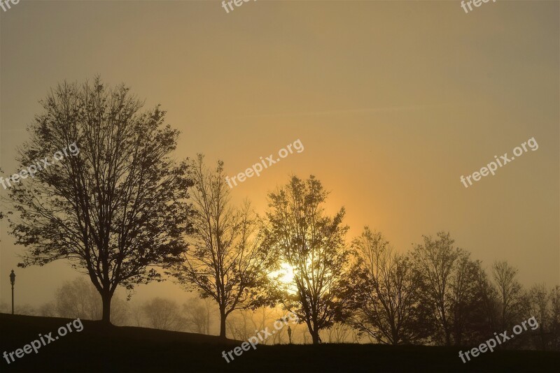 Sunrise Fog Trees Sun Sky