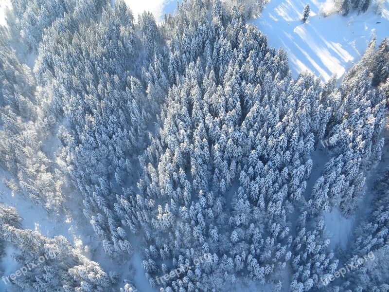 Forest Winter Snow From Above Wintry