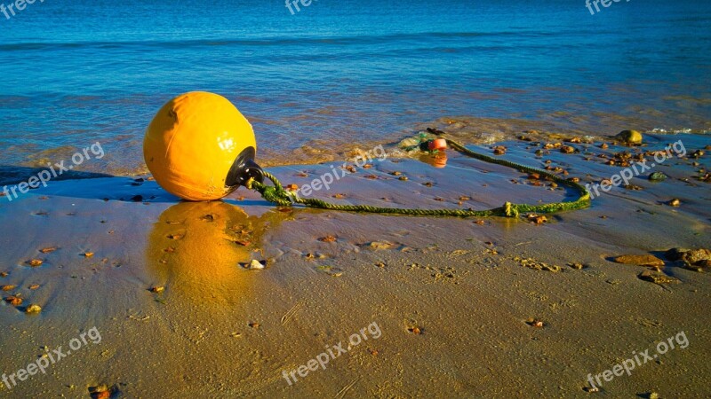 Buoy Beach Safety Sea Water