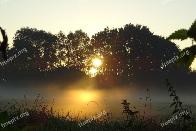 Autumn Fog Mood Landscape Golden Autumn