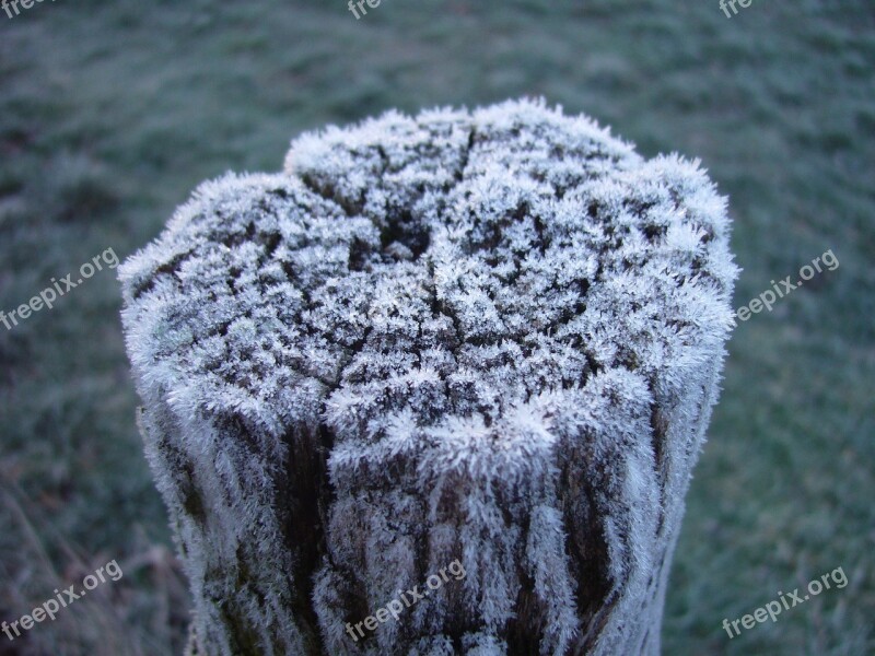 Picket Salt Wood Salt Marsh Free Photos