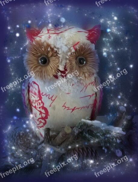 Christmas Owl Decoration Festive Christmas Card