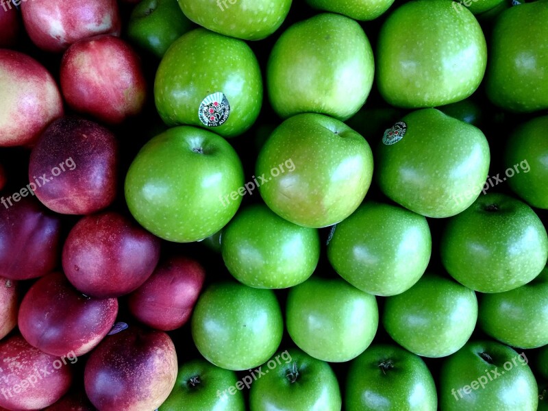 Apple Apple Green Green Circle Purple