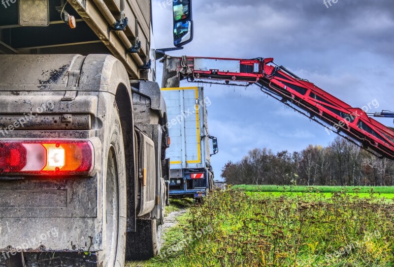 Harvest Sugar Beet Truck Back Light Brake Light