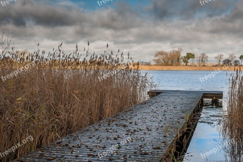 Web Lake Sky Clouds Reed