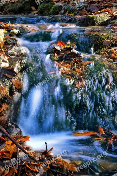 Source Water The Stones The Beauty Of Nature The Brook