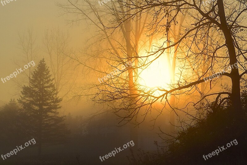 Sunrise Fog Tree Sun Sky