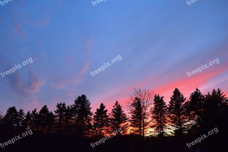 Sunset Sky Silhouette Pine Trees Clouds