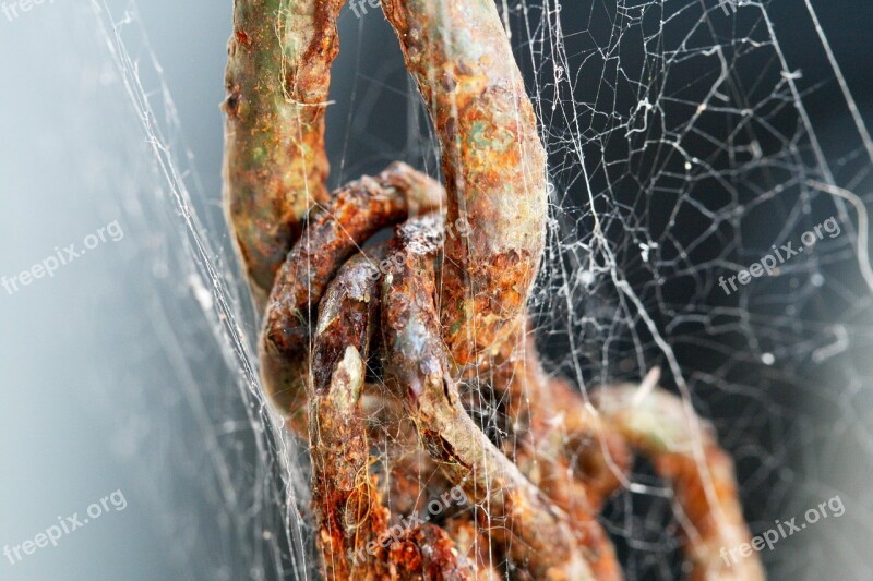 Chain Cobweb Rust Aged Weathered