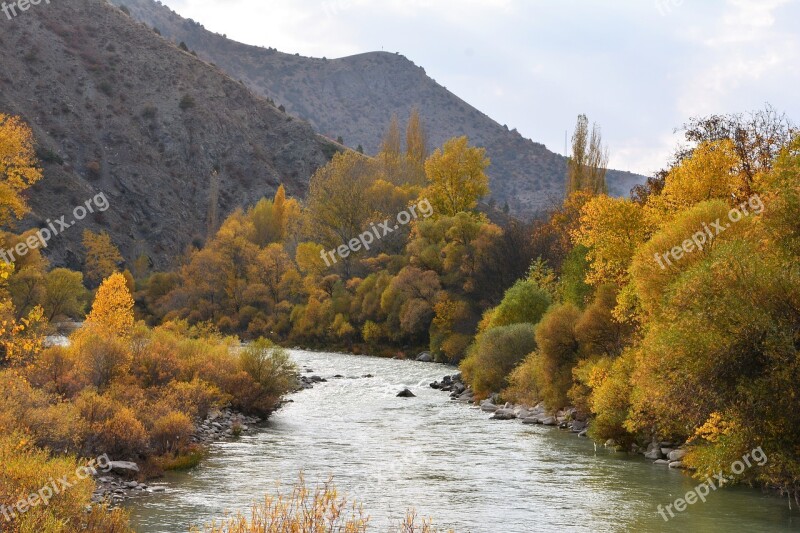 Coruh River River Streaming Dd Pebbles