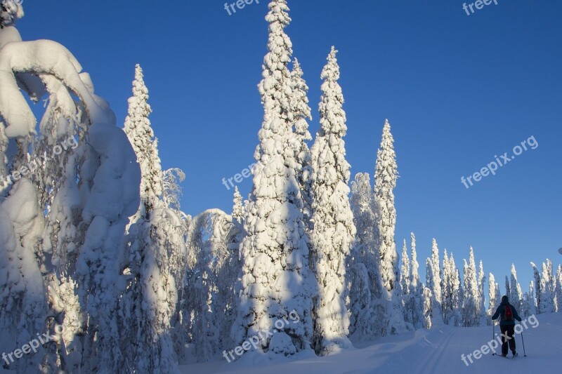 Lapland Winter Snow Wintry Finland