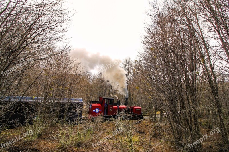 Train Forest Trees Smoke Nature