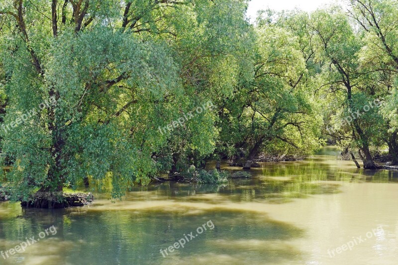 Romania Danube Delta Watercourse Muddy Riparian Zone