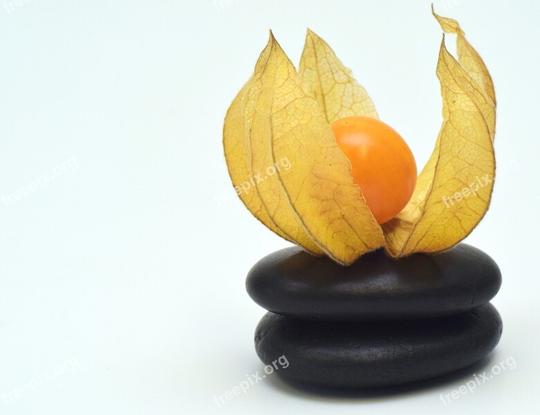 Physalis Fruit Berry Orange Food