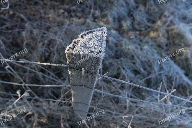 Winter Frost Wintry Hoarfrost Frozen