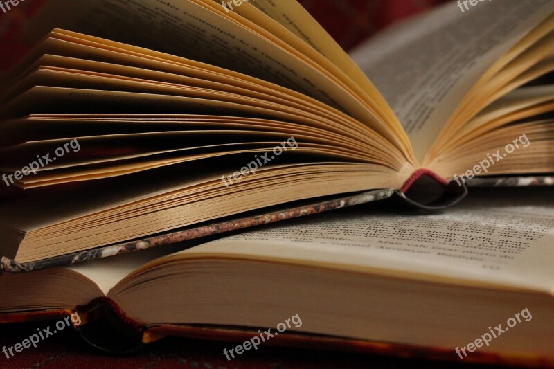 Books Study Learn Knowledge Information