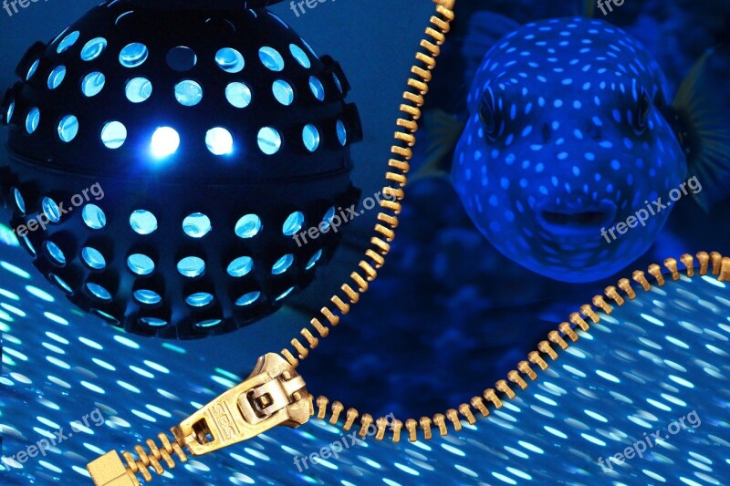 Disco Ball Disco Nightclub Party Club