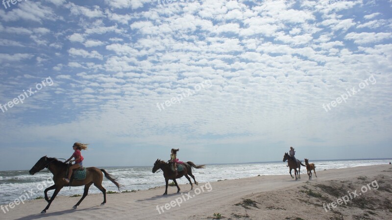 Sea Freedom Summer Seascape Travel