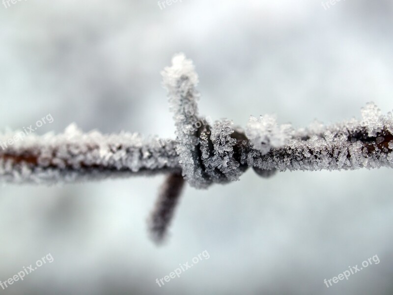 Fence Barbed Wire Metal Wire Thorn