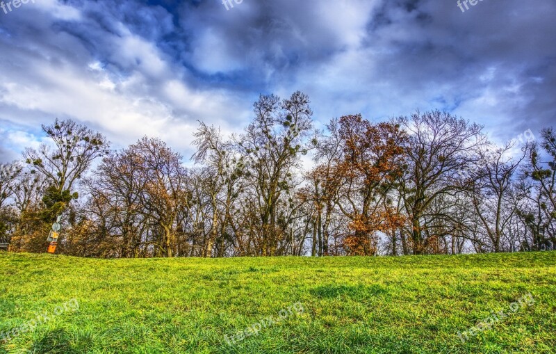 Trees Canopy Meadow Green Clouds