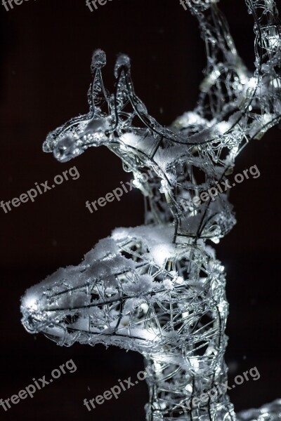 Reindeer Snow Led Light Emitting Diodes Night