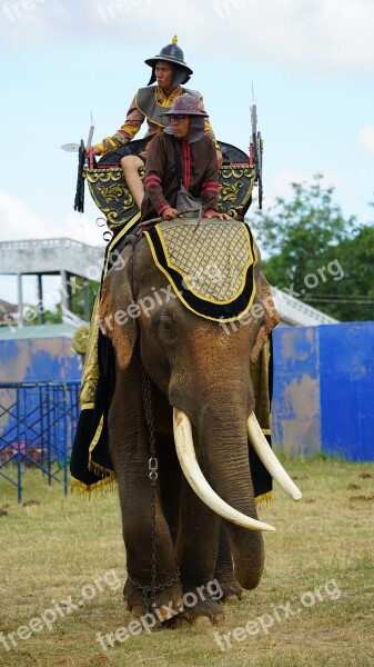 Elephant Tusks Warrior Armed Dressed