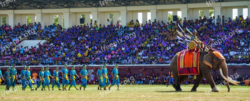 Elephant Festival Surin Thailand Show