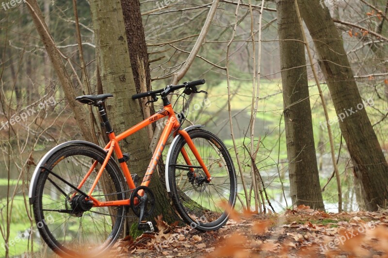 Bike Autumn River Forest Cycling