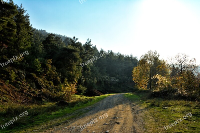 Autumn Season Nature Beautiful Outdoor