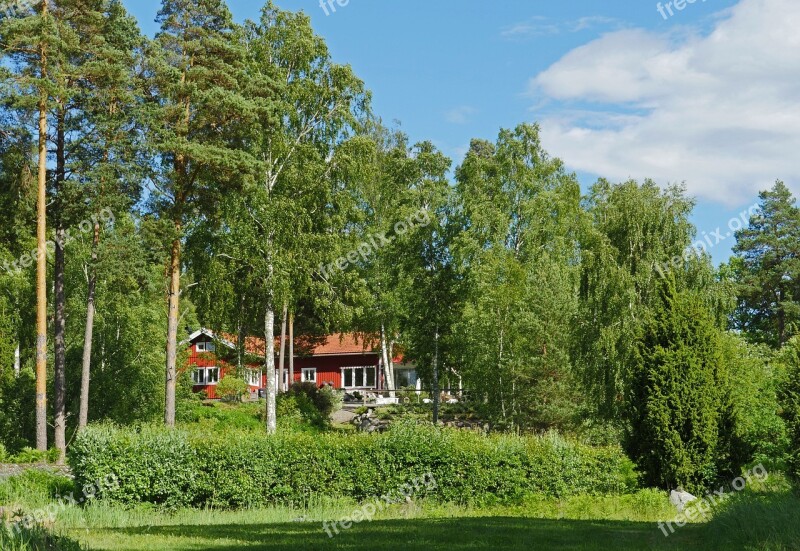 Swedish House Holiday House Summer House Forest Mixed Forest