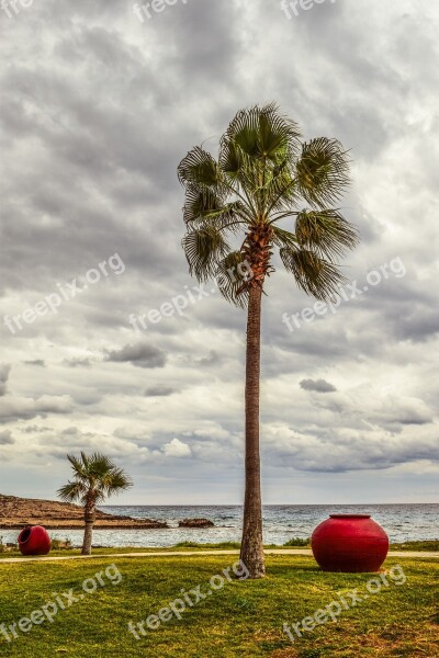 Cyprus Ayia Napa Nissi Beach Autumn Palm Trees