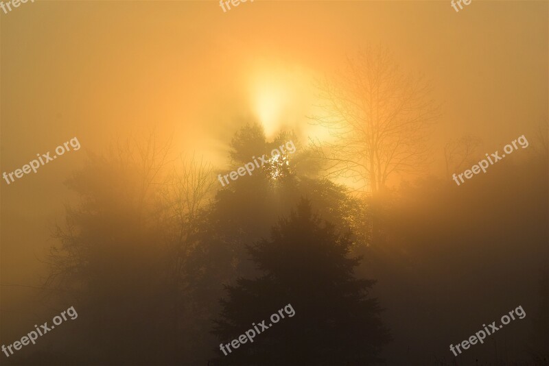 Sunrise Fog Tree Sun Sky