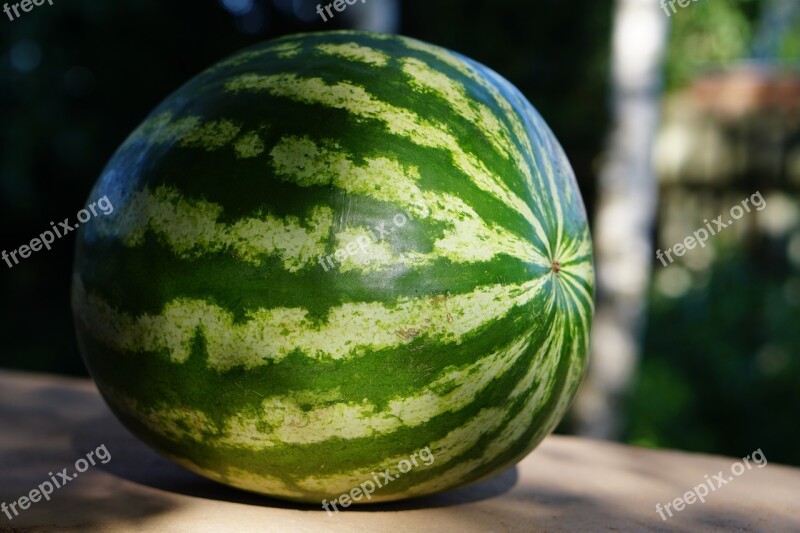 Watermelon Summer Food Juicy Green